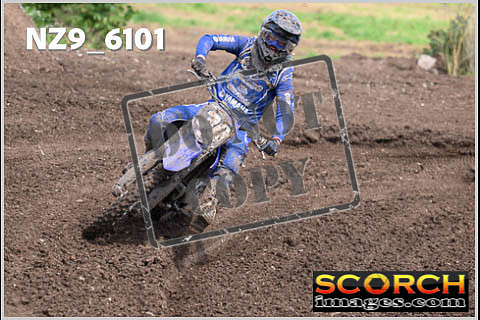 Experts-369