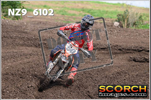 Experts-370