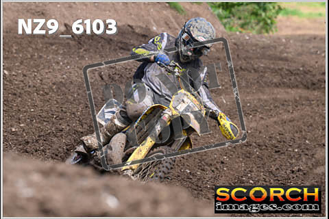 Experts-371