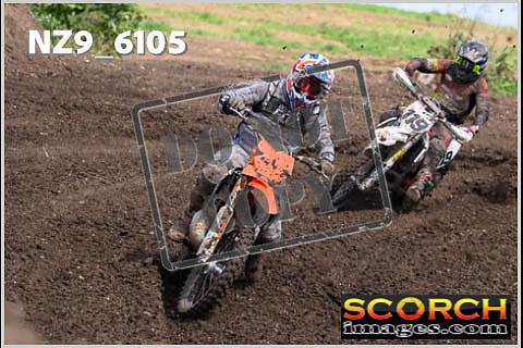 Experts-373