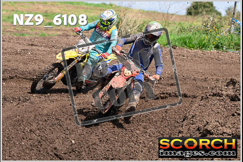 Experts-376