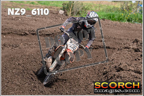 Experts-378