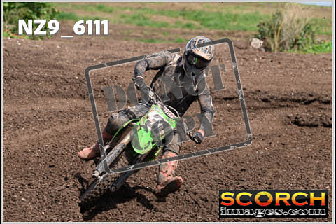 Experts-379