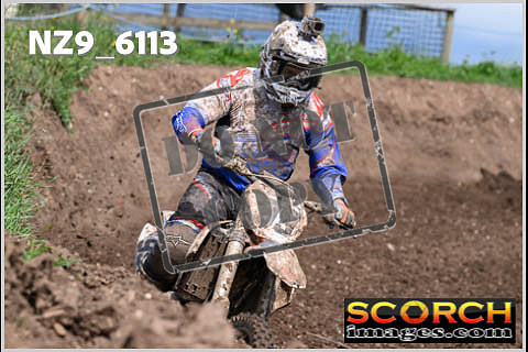Experts-381