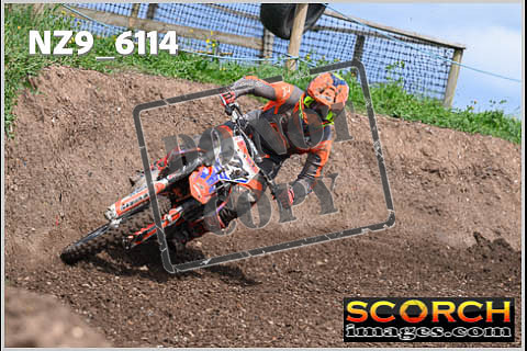 Experts-382