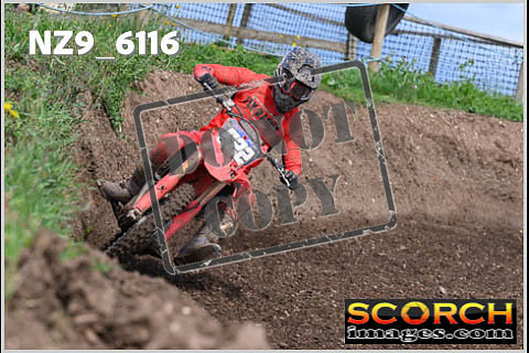 Experts-384
