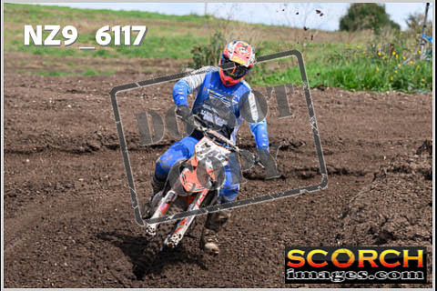 Experts-385