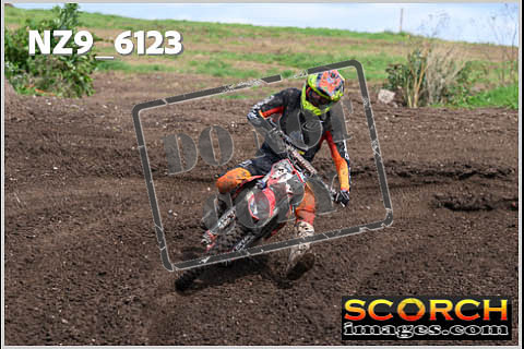 Experts-391