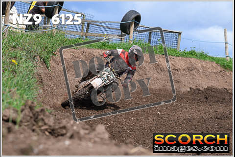 Experts-393