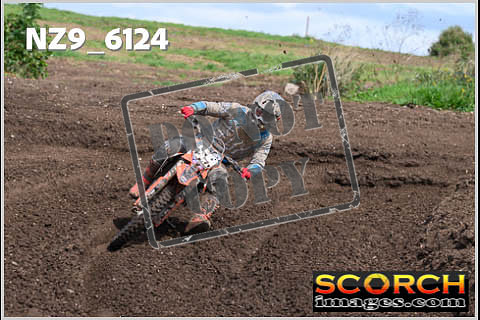 Experts-392