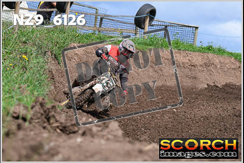 Experts-394