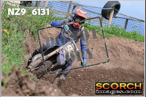 Experts-398