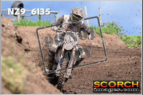 Experts-402