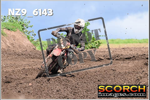 Experts-408