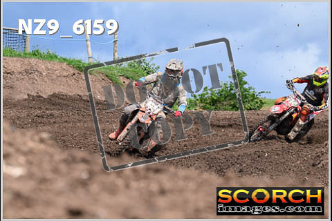 Experts-423