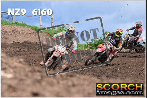 Experts-424