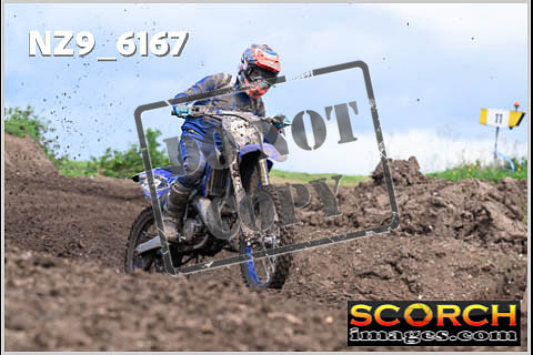 Experts-428