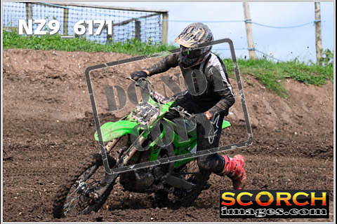 Experts-431