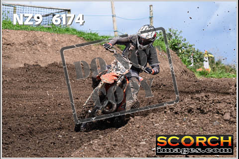Experts-434
