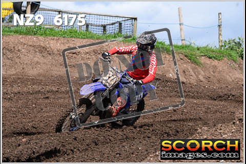 Experts-435