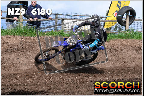 Experts-440