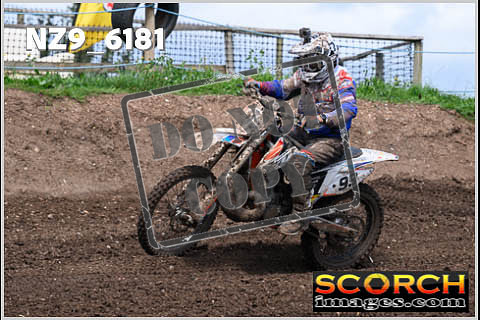 Experts-441