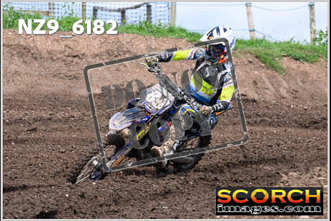 Experts-442