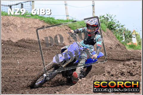 Experts-443