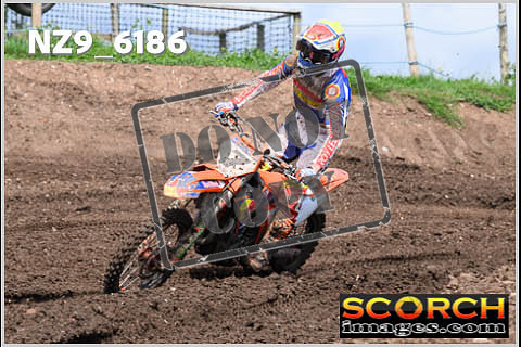 Experts-446