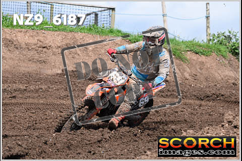 Experts-447