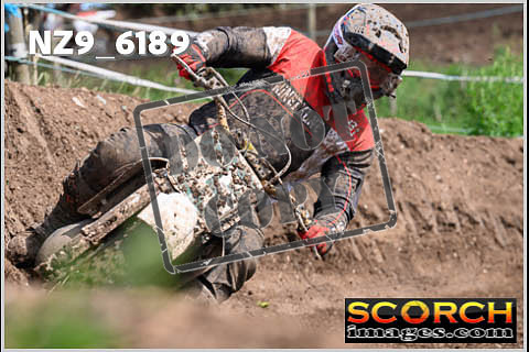 Experts-449