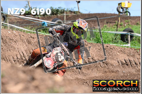 Experts-450