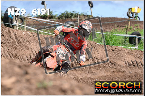 Experts-451