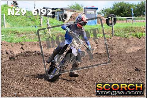 Experts-452