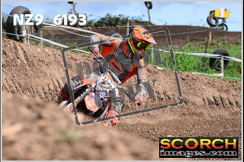 Experts-453
