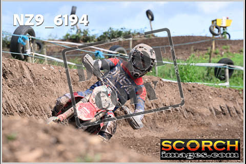 Experts-454