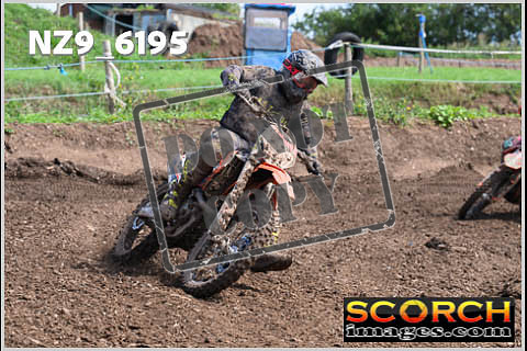 Experts-455