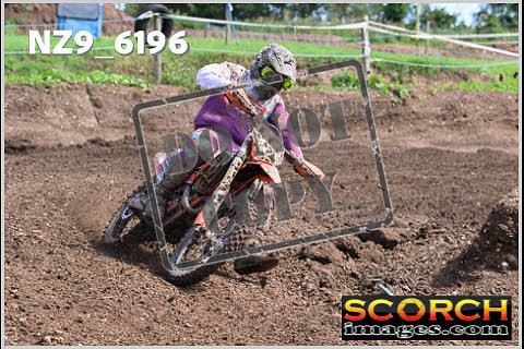 Experts-456