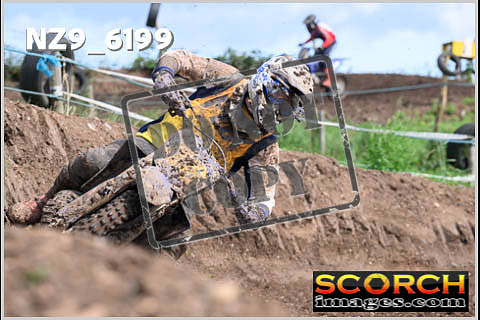 Experts-459
