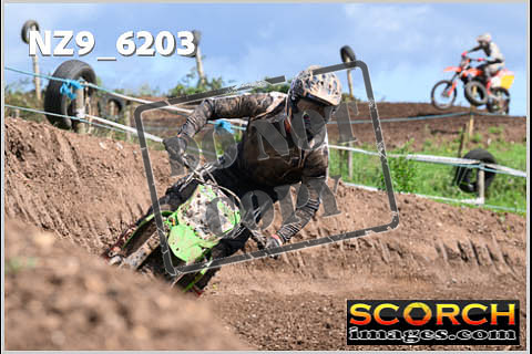 Experts-462