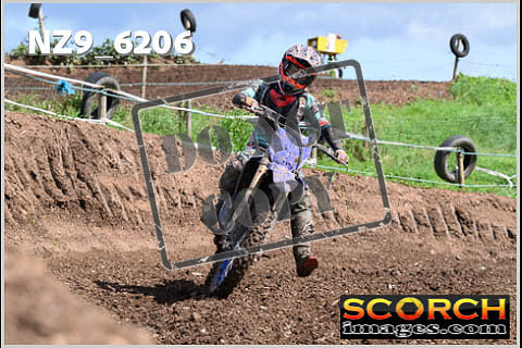 Experts-465