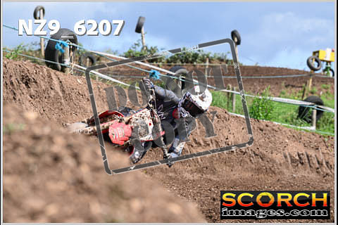 Experts-466