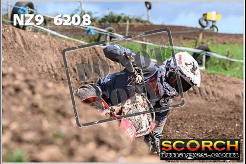 Experts-467