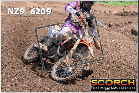 Experts-468