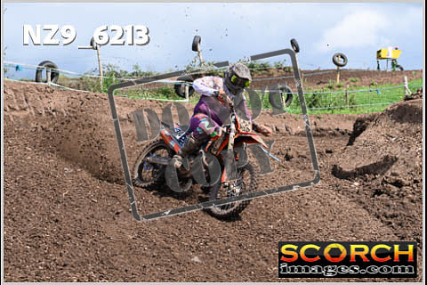 Experts-472