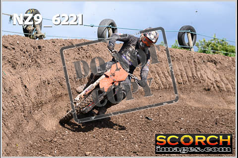 Experts-479