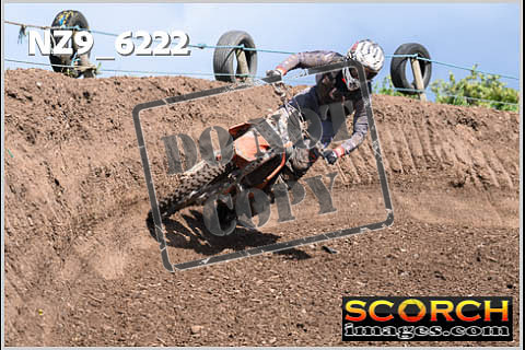 Experts-480