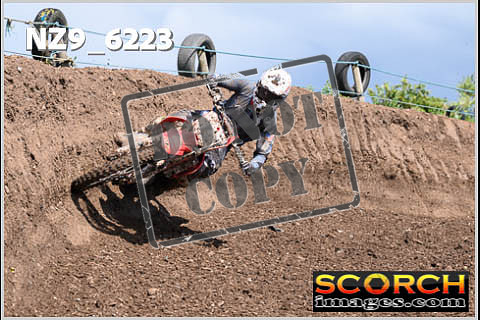 Experts-481