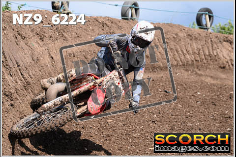 Experts-482
