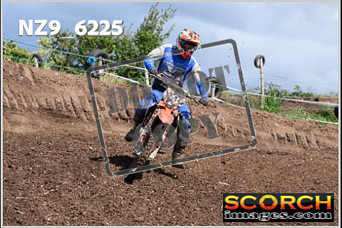 Experts-483